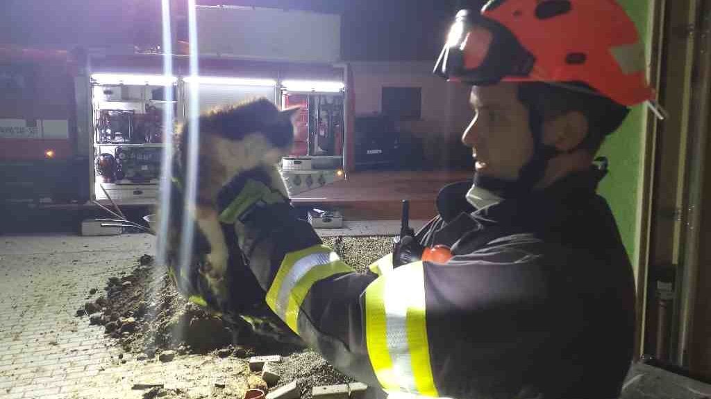 Kočku uvízlou v potrubí zachraňovali hasiči na Brněnsku nadvakrát